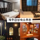 아름다운하우스 | 제주 동쪽 구좌읍 종달리 숙소 혼자여행 게스트하우스 1인실 각자의 섬 후기