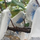 송산상회