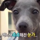 없음 이미지