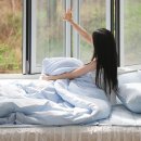 황금이불 | 베이직톤 순면60수 모달 여름 차렵 냉감이불 추천 후기