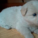 선창민박 이미지