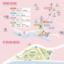 진상면 버스정류소 | 광양 매화축제 기간 / 주차 / 개화 상태 / 3월 13일 방문 후기