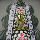 박연순