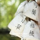 오거리 수약국 이미지