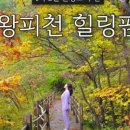 왕피천힐링팜 이미지