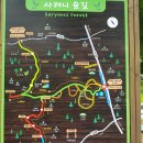 곶자왈칼국수 이미지