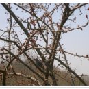 인후공원(배수지) 이미지