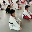 경희대태권도스쿨 (227) | 전주에서 전문성 있는 태권도 학원을 찾고 계신가요? "점프스쿨경희대태권도"