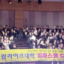 드림라이프