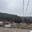 인제14-1 | [강원도 인제]속삭이는 자작나무 숲 원대리 인제 자작나무숲 겨울 난이도 및 후기