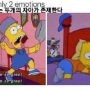 엔프피 이미지