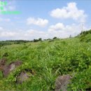 성읍리-1 이미지