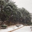 더 클래식 건축사사무소 이미지