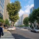 역삼우리공인중개사사무소 이미지