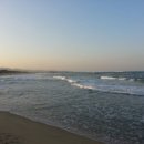 주문진물회 - 용인시 처인구 백옥대로 849 | 주문진물회