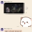 [본식 DVD업체 선정]짐벌 &amp; 화이트톤의 본식DVD업체, 로맨틱필름 계약후기!