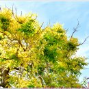 [2025. 5. 8. 목. 해.]-[유산소-휴식, 적산-0km, 12~22℃, 05:27~19:15] 이미지