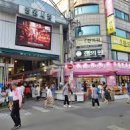 효령종합부분정비 | 망원동의 유래, 희우정에서 망원정까지 한강 변 동네가 바뀌어온 과정