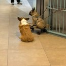 영풍상회 | 주말에 파주 고양 인천 서울 몰아서 다녀온 여행 기록 🛻📍