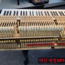 가내음악학원 이미지