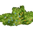 오케이 골프 이미지