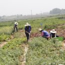 대량농장 이미지