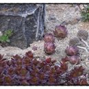 주왕산황토방 이미지