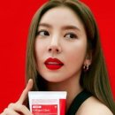 락토딥