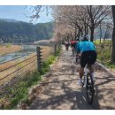 한강 자전거도로6 이미지