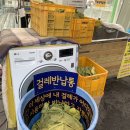 천안세차장백세 이미지