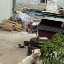 선고1리 마을회관 이미지