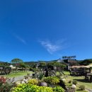 노란우체통 이미지