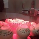 영주부부한의원 이미지