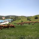 김동훈 농장 이미지