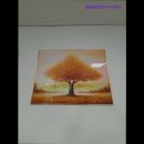 금방공인중개사사무소 이미지