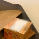 광주037 | 한국에서 미국 EMS 받기 후기 (관세 정책 이후)