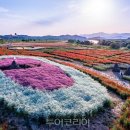 한국관광공사 ‘봄시즌 비대면 안심관광지 25선’ 이미지