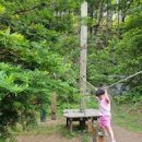 피노키오 놀이터 이미지