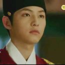 뿌리깊은 나무 이미지