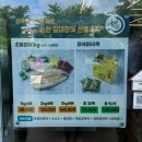 신대장어탕 이미지