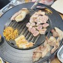 숙성고집 이미지