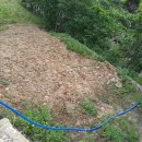 도로민박 이미지