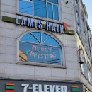 라미스헤어계대 이미지