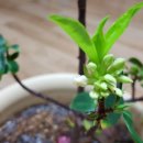 주연과조연 이미지