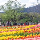 파도가머무는정원 이미지