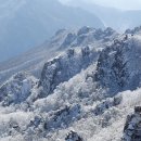 해피버스데이 이미지