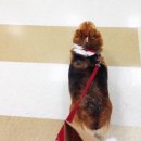 이리온 양재점 이미지