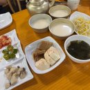 선학역 | [인천/선학] 막걸리가 무제한!? 황금코다리 맛집 후기 선학역 먹자골목