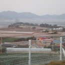 새론별장 네이버블로그