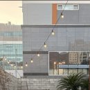 전포 베이지염색 잘하는 미용실 ㅣ 밝아도 부담 없는 헬시컬러 "베이지컬러" 염색 후기